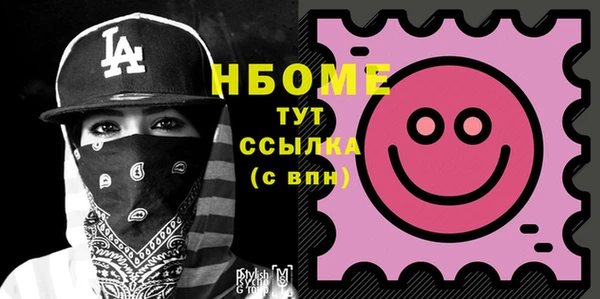 прущий лед Алзамай