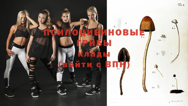 прущий лед Алзамай