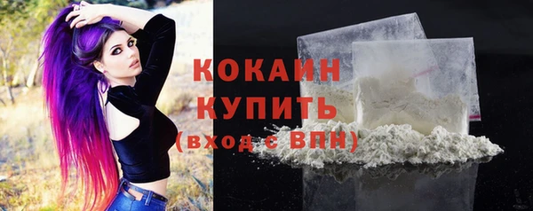 прущий лед Алзамай
